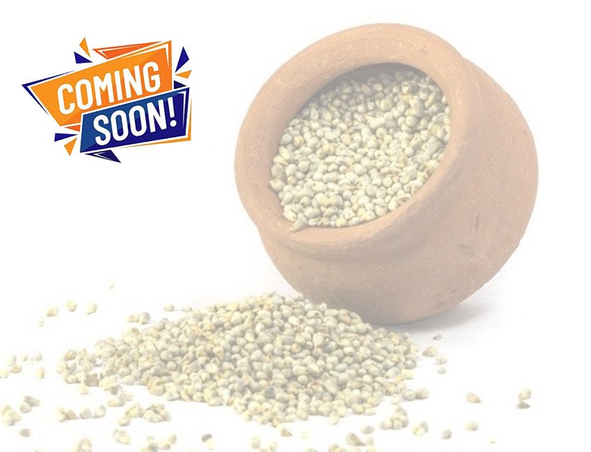 Maru Shakti Millets Bajra